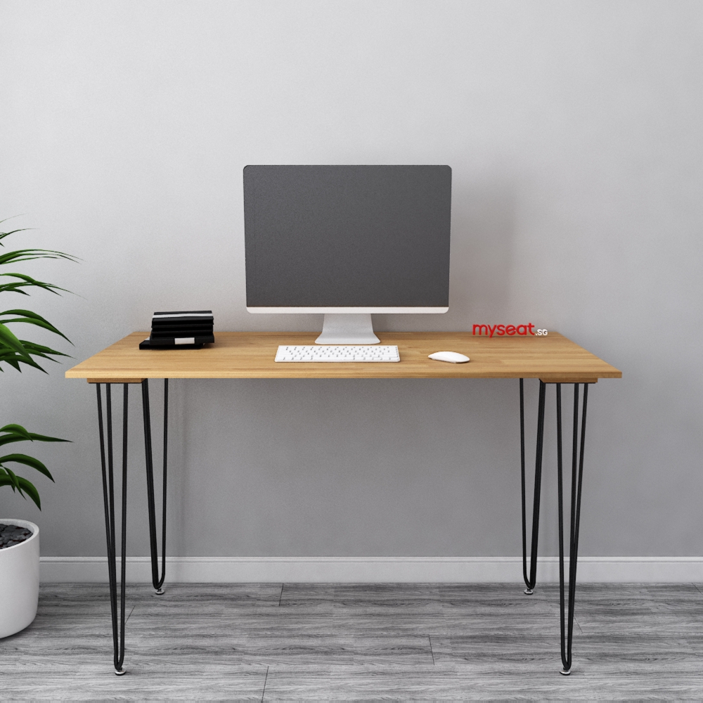 WELLS Dual Motor Electric Standing Desk 