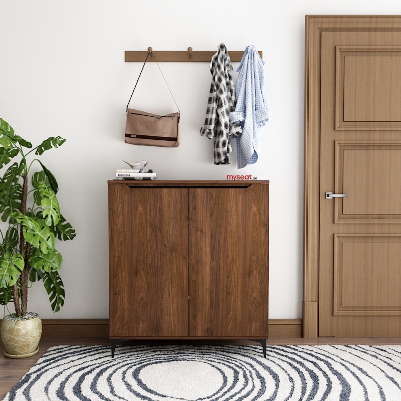 wooden shoe cabinet with doors