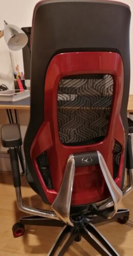ROC Gaming Chair photo review