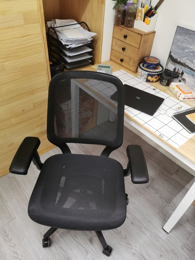NEOSEAT Ergonomic Chair photo review