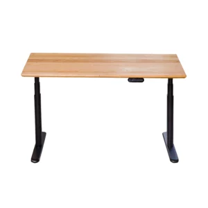 DOMINIC Dual Motor Electric Standing Desk