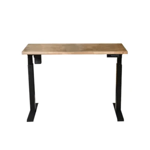 ZENITH Single Motor Electric Standing Desk