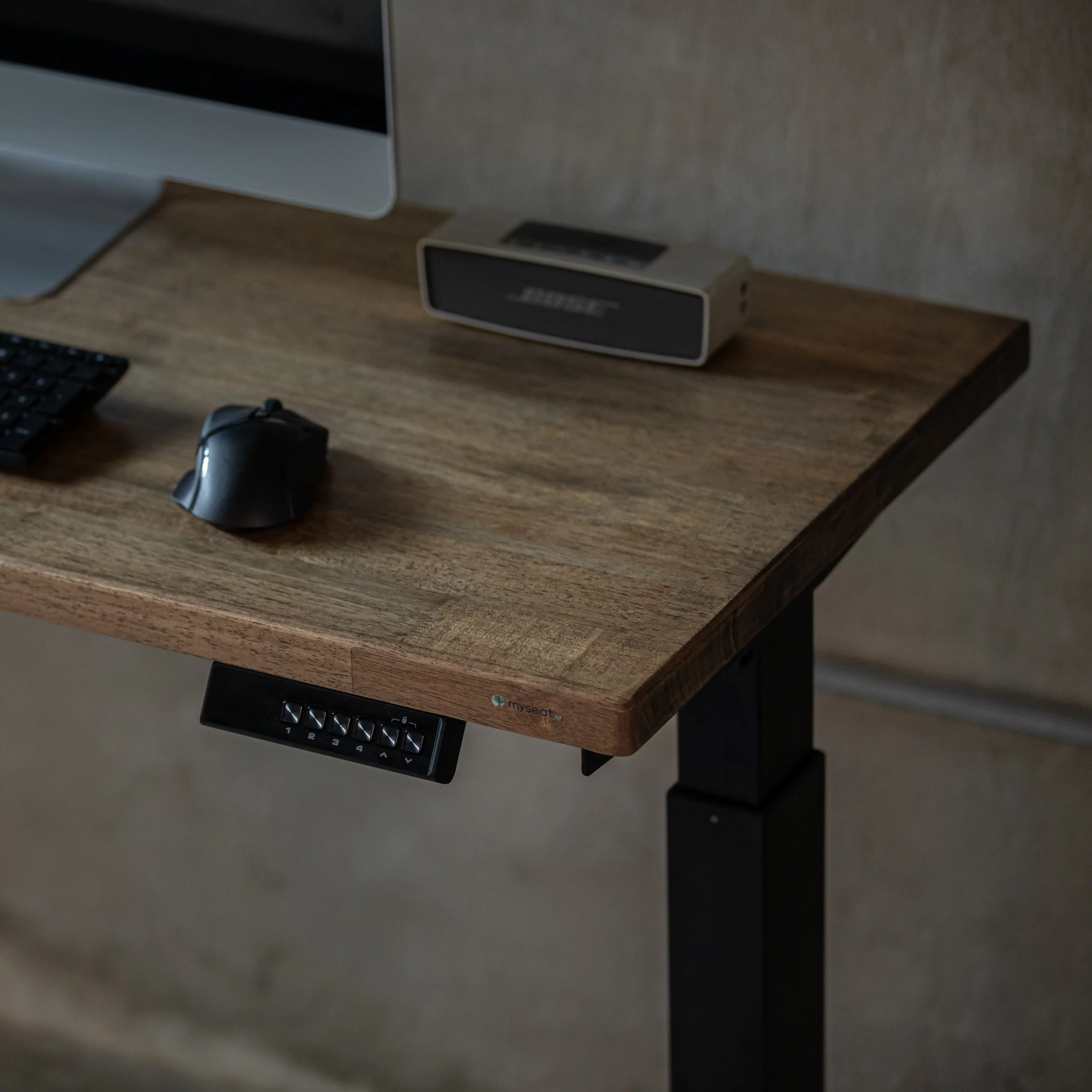 ZENITH single motor standing desk