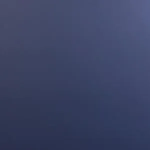 Dark Naval