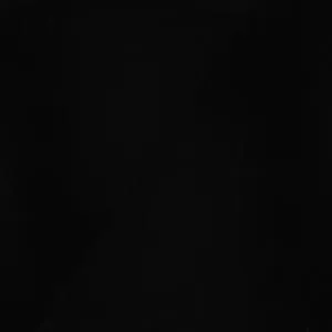 Black (Premium)
